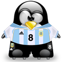 Penguin pingouin pinguino 167